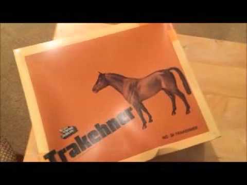Opening a 35 year old FACTORY SEALED Breyer Horse!