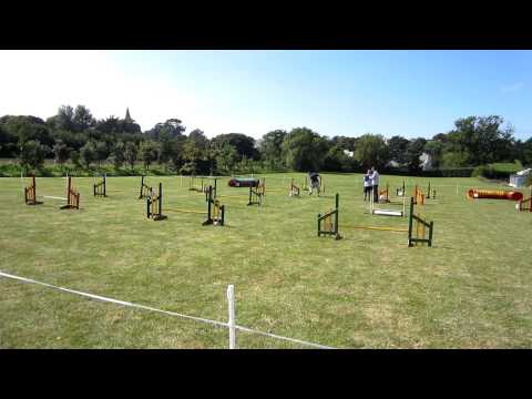 Ciprian & Nutmeg (Beginners)