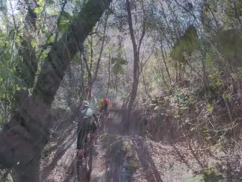 ligure 2019 ruggetta