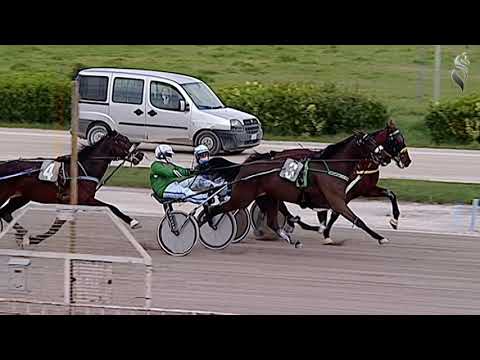 Aversa trotto 20 Marzo 2021 - 5° Corsa