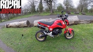 Honda MSX 125 (Grom) Mods & Akrapovic db sound test