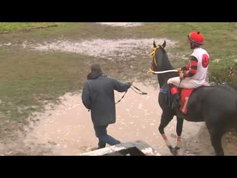 CARRERAS SINT PAYSANDU- 220901 c08- 1° THE DANCER