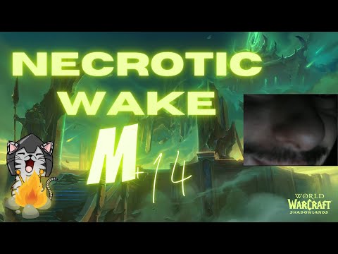 Necrotic Wake M+14, Discipline Priest PoV