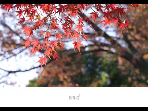 紅葉-Creha- English Version