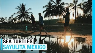 SAYULITA MEXICO | SEA TURTLES | LA PENITA MARKET (EP 40: FULL TIME RV LIVING)