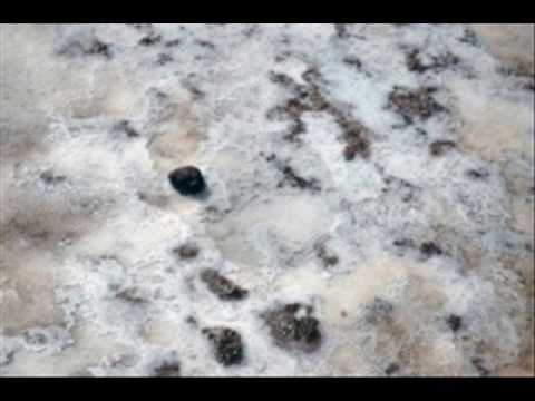 Tango di Marilu - Daniele Serra