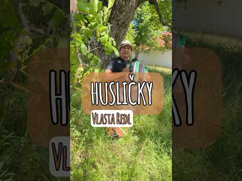 Vlasta Redl - Husličky (cover) Pavel a Zdeněk Muchovi #akordeon #harmonika #housle #husličky #cover