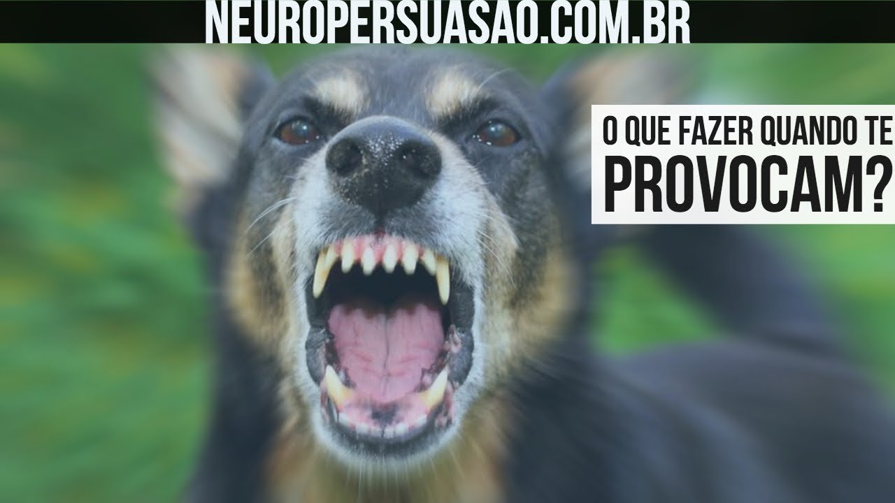 Qual é a Melhor Defesa Quando Te PROVOCAM? | Neuro Persuasão por André Buric