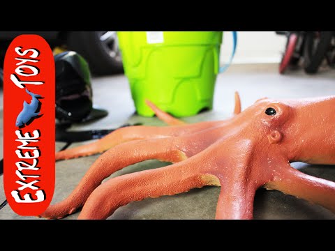 The Octopus Stow Away Part 2! Toy Sea Creature has a Ink Problem. Video