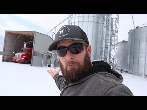 Do you wanna build a snowman? We survived Snowpocalypse