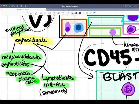 Flow Cytometry Basics 🧪