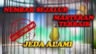 Download lagu MASTERAN PLECI NEMBAK SEJALUR, JEDA ALAMI, COCOK UNTUK MASTERAN !!!! mp3