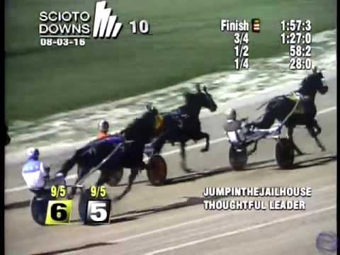 Jumpinthejailhouse (1:57:3)RACE 10 - Scioto Downs - OH - August 3, 2016