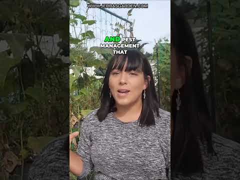 Mastering Cucumber Gardening: Essential Tips for Beginners