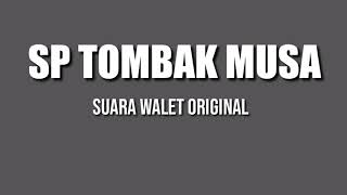Download lagu SP TOMBAK MUSA BY AHMADKANI mp3