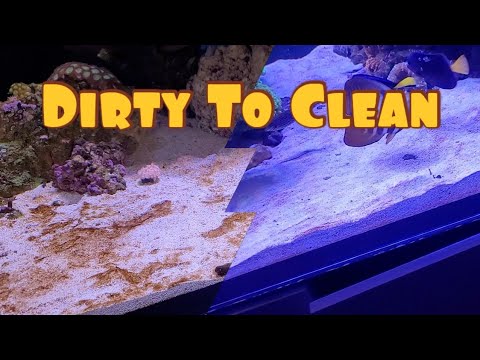 How I Beat Dinos! Don't Do What I Did!