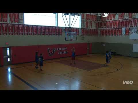 Bumble Bees vs Brick City - sunday tier - tcbl 2022 winter