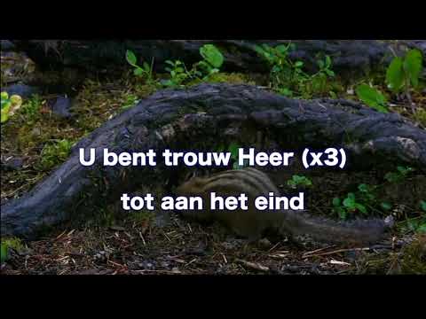 Opwekking 830 Vragen