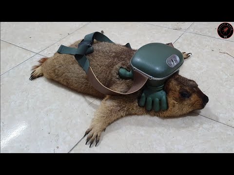 Самое неожиданное использование массажера