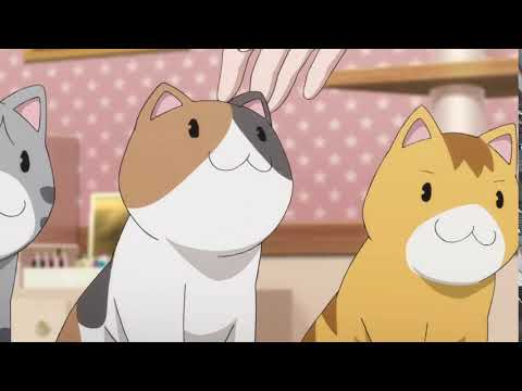 Super Sonico's cats' names in order of appearance