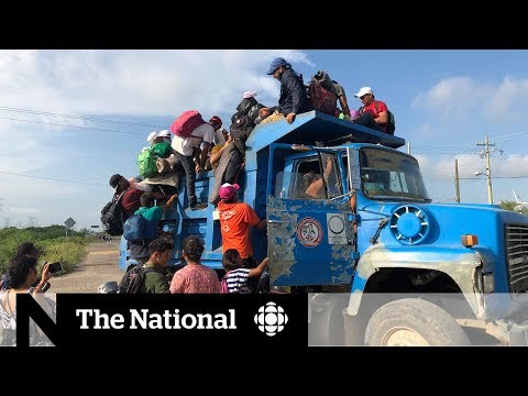 The chaotic reality of the migrant caravan
