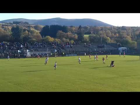 Final Whistle of the Wicklow County Final