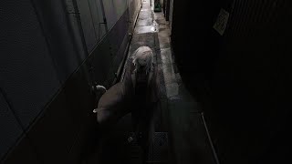 同窓会Cover 位相