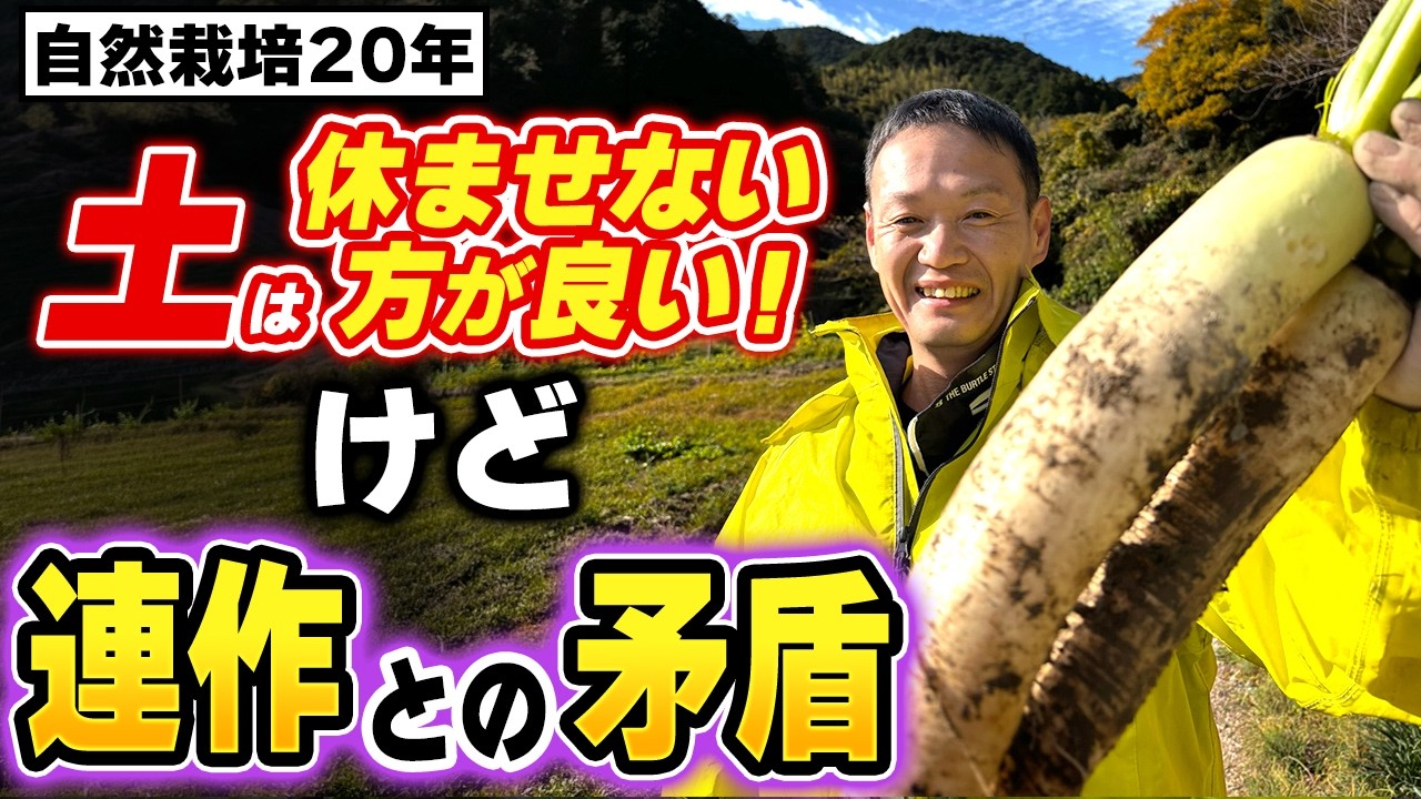 「土は休ませない」と連作の矛盾を解く