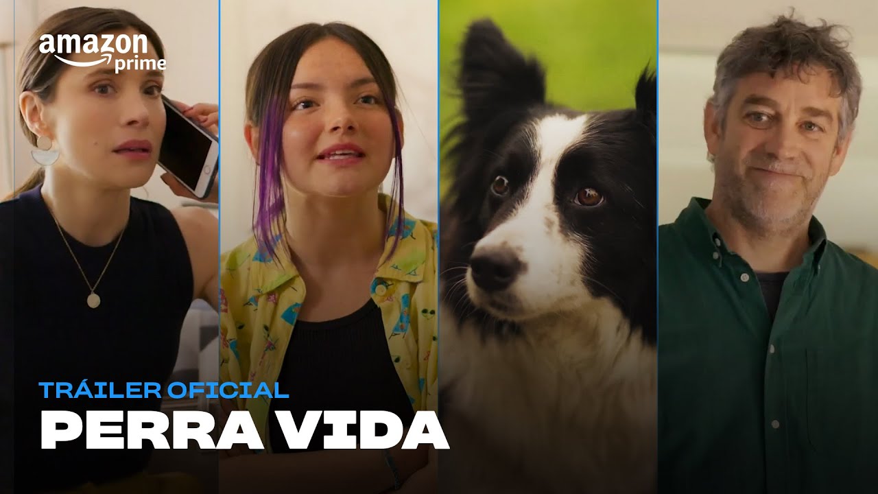 Trailer oficial de Perra Vida