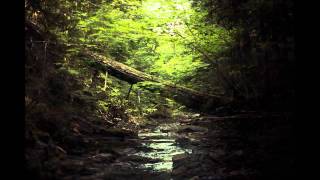 Lui Collins - Song of the Waters