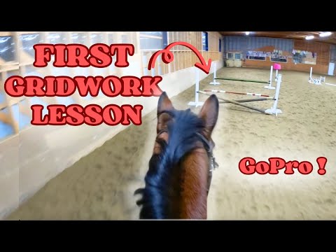 MY FIRST GRID WORK LESSON | Horse Lesson Vlog