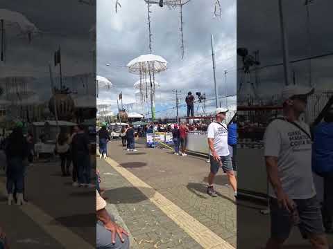 Tope nacional costa rica, Alajuela san Ramón 2025, Eventos, Viajes, Turismo