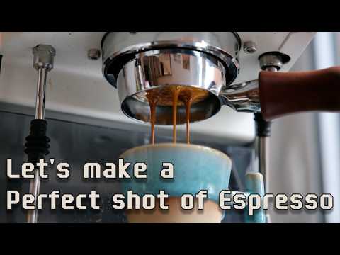 Let's make a Perfect shot of Espresso (w/ the Gaggia Classic Pro)