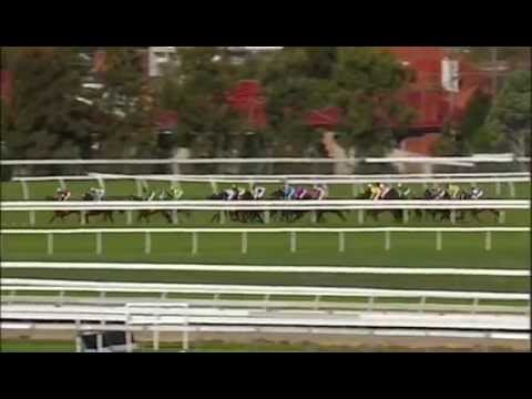 2015.05.02 Schweppes Australasian Oaks - Delicacy