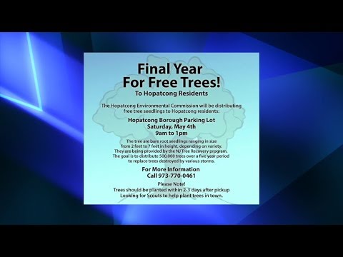 NJ Hopatcong Environmental Committee Gives Out Tree Seeds