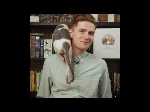 LMT viedtelpa | Kā nebūt dīvāna kartupelim?