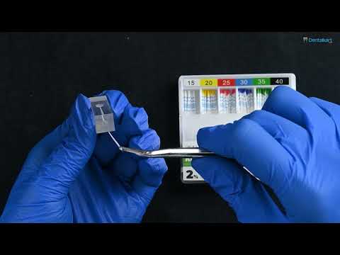 Waldent Paper Points Protaper F1–F3 | Length Marked & Color-Coded for Precision Endodontics