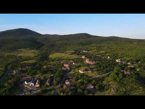 Fony from the sky 2024