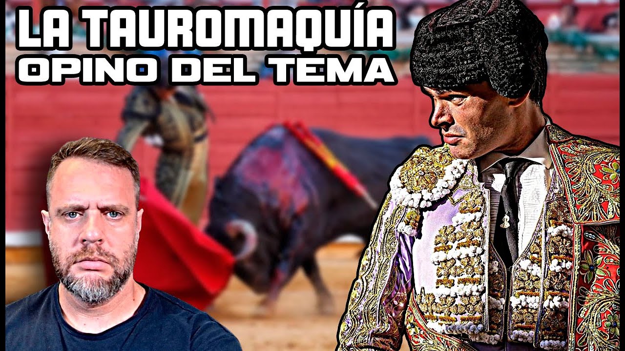 MI OPINIÓN SOBRE LOS TOROS