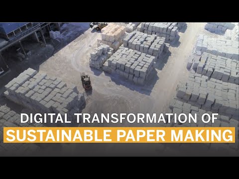 Digitized paper recycling and efficient IT at Steinbeis Papier GmbH