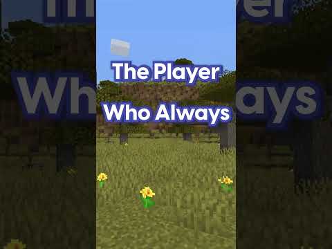 MagZ Bem - Types Of Minecraft Players In A Public Server