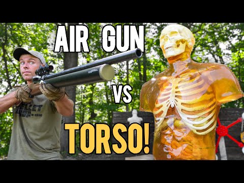 World's Most POWERFUL Air Rifle vs TORSO!! (72cal ZEUS)