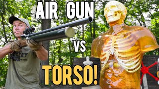 World's Most POWERFUL Air Rifle vs TORSO!! (72cal ZEUS)