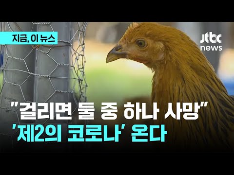 아이콘