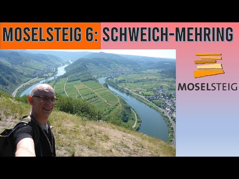 Moselsteig 6 – Teamwork | Schweich-Mehring | Wandern an der Mosel | Dirk Outdoor | # 78