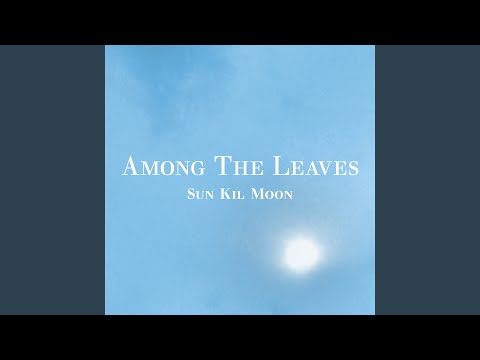 Videoclip de That Bird Has a Broken Wing — Sun Kil Moon