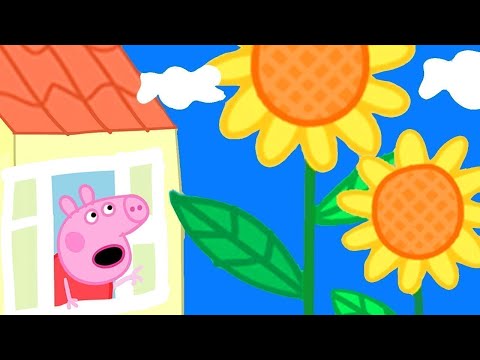 Capa de Flores Gigantes 🌻 Peppa Pig Português Brasil | Desenhos Animados