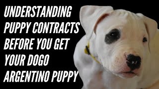 UNDERSTANDING PUPPY CONTRACTS (For New Dogo Buyers or New Dogo Breeders)