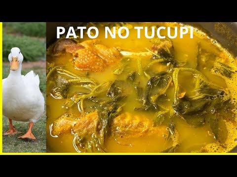 PATO NO TUCUPI/CULINÁRIA PARAENSE