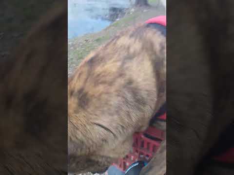 #Alberti #buenos aires